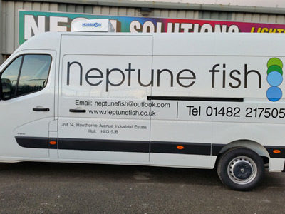 Van Side Graphics (Neptune)