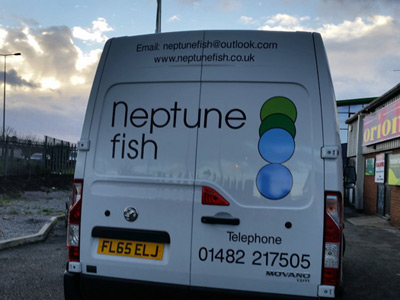 Van Rear Graphics (Neptune)